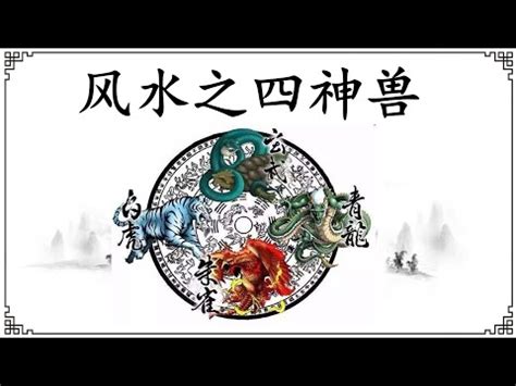 四聖獸 方位|靈獸